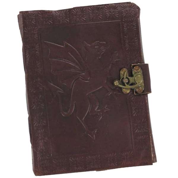 DRAGON and the Hummingbird Leather Bound Diary